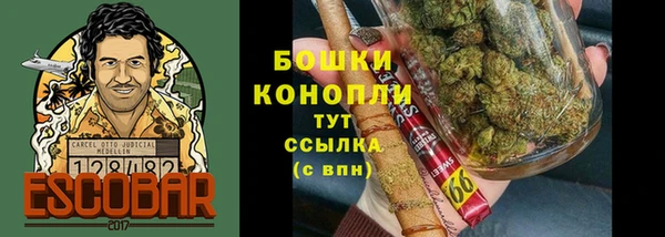 прущий лед Нея